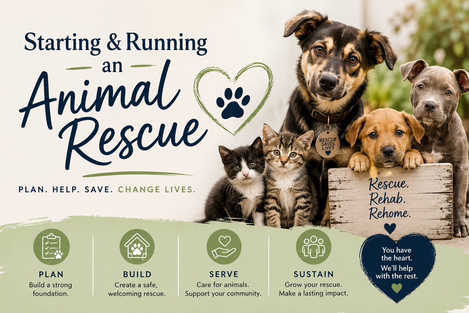 Animal Rescue- Start Up and Running