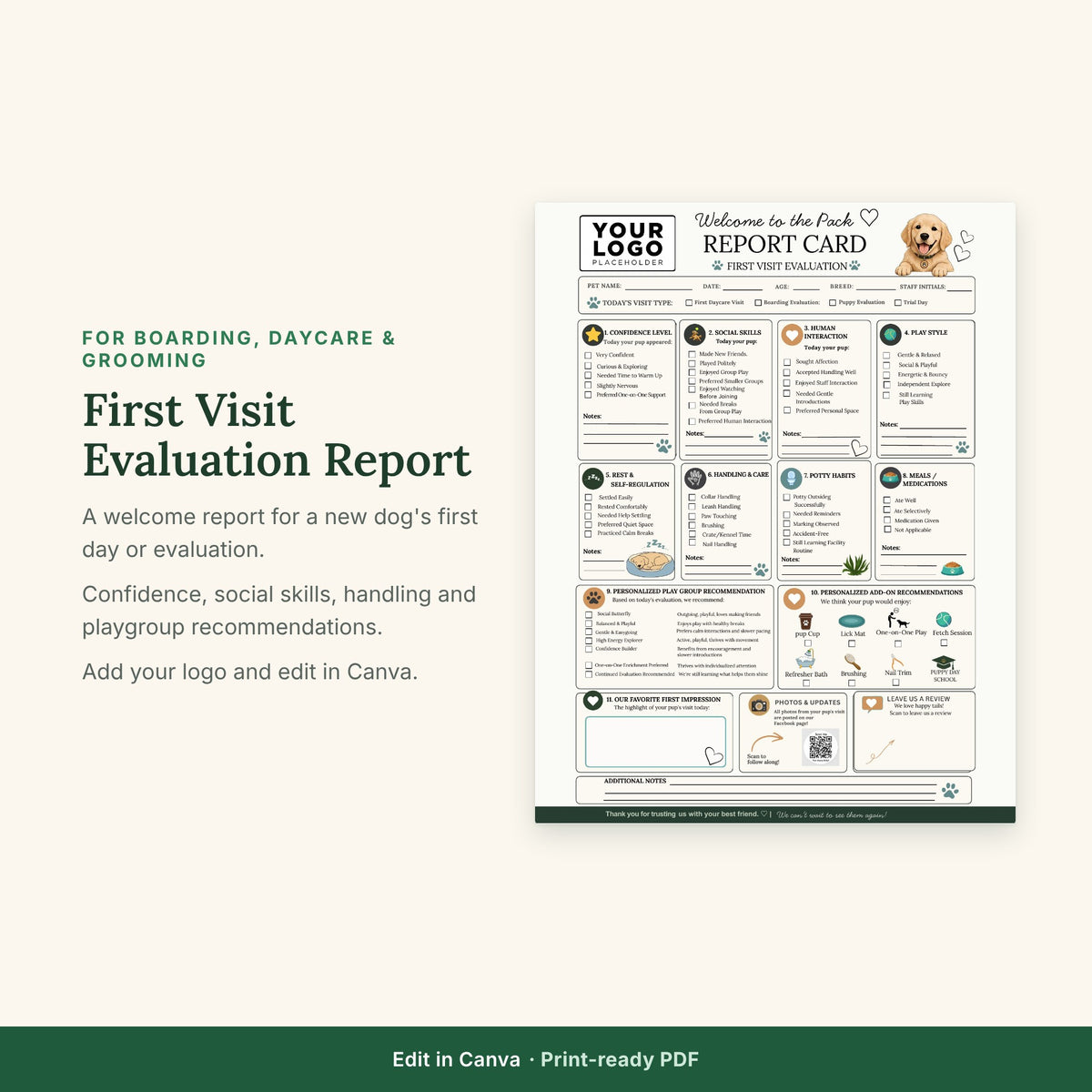 First Time Boarding/Daycare Report Template | New Dog Evaluation & First Day Report