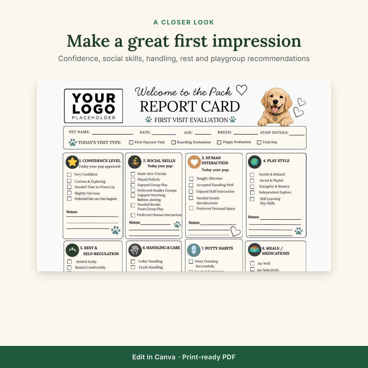 First Time Boarding/Daycare Report Template | New Dog Evaluation & First Day Report