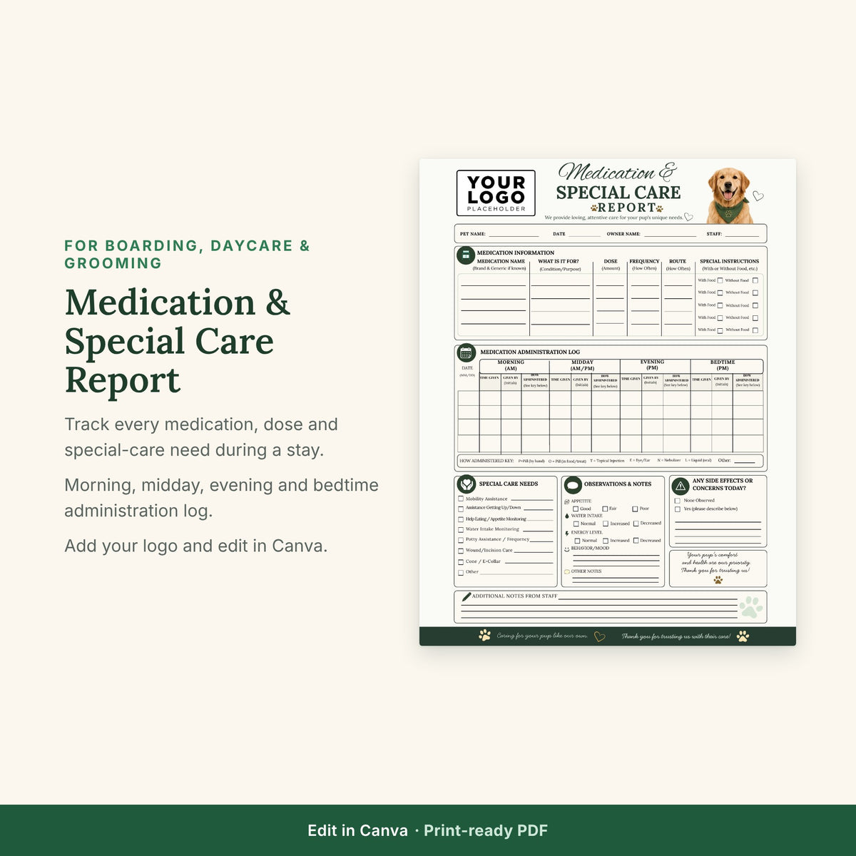 Medication & Special Care Report Template | Dog Boarding Medication Log