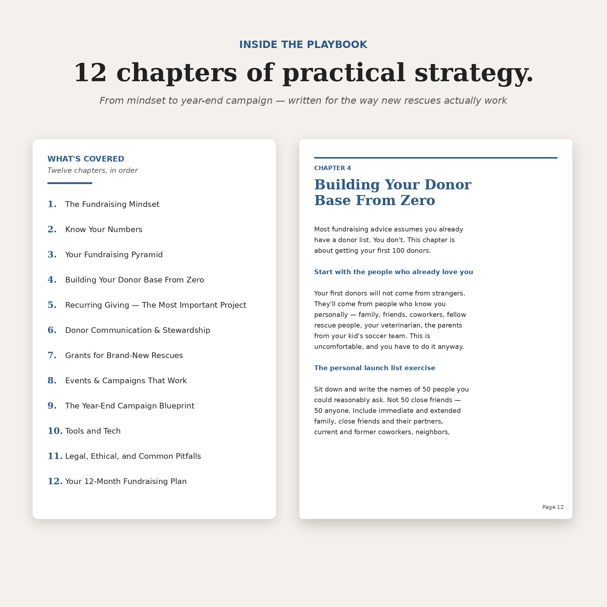 The First-Year Fundraising Playbook for Animal Rescues | 24-Page Step-by-Step Guide