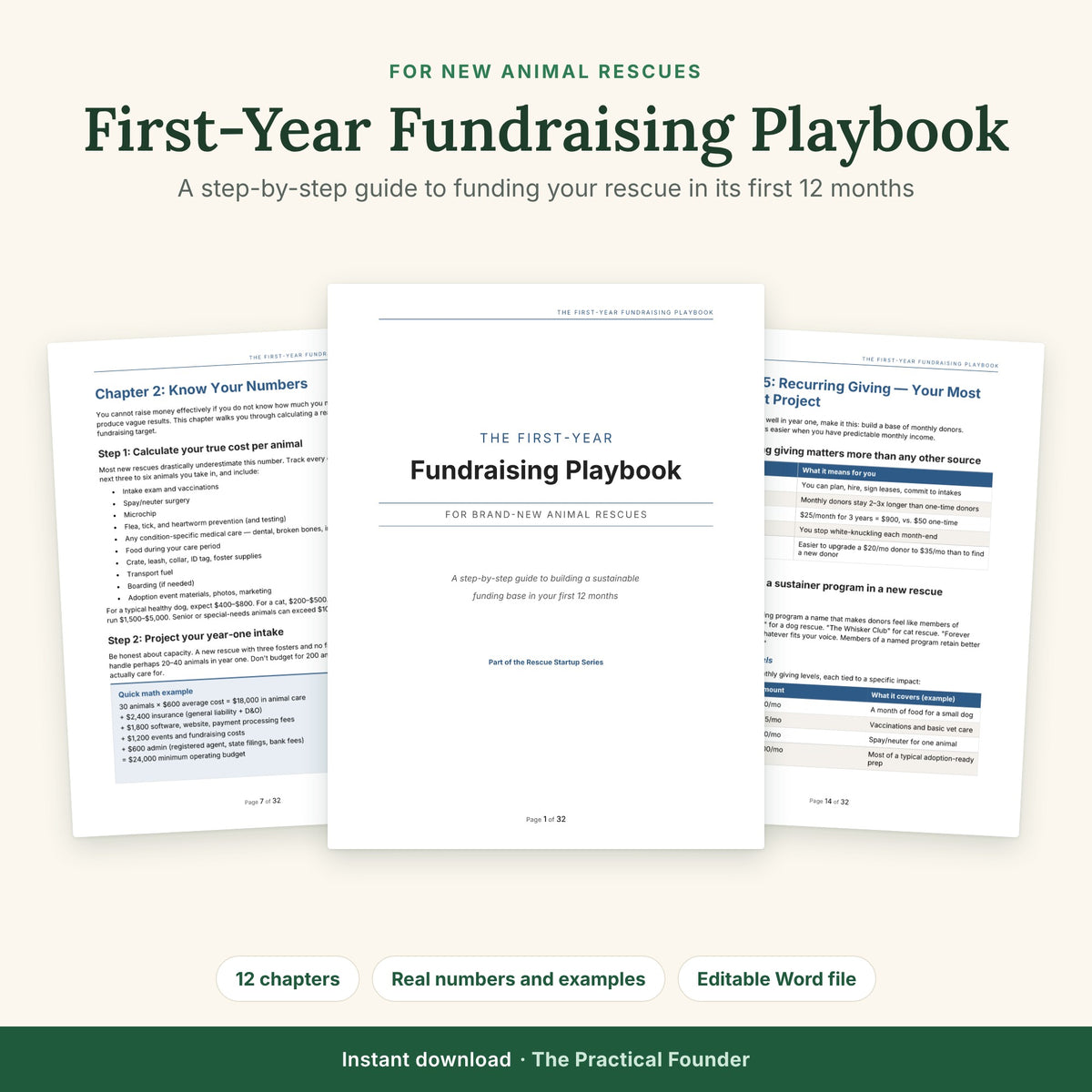 First-Year Fundraising Playbook for new animal rescues