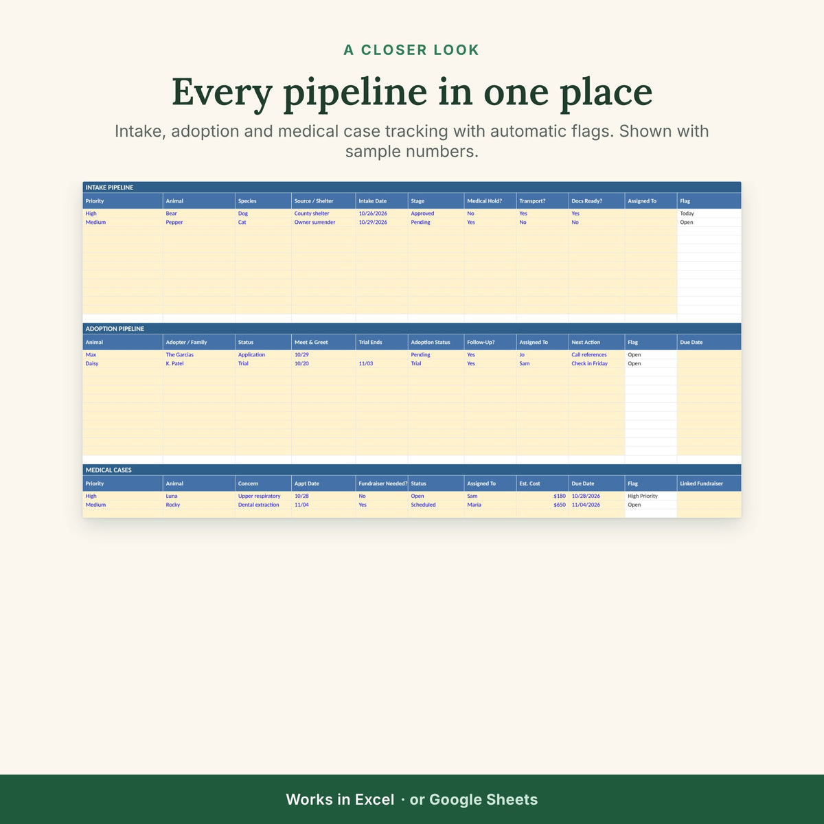 Rescue Operations Command Center — Spreadsheet for Animal Rescues