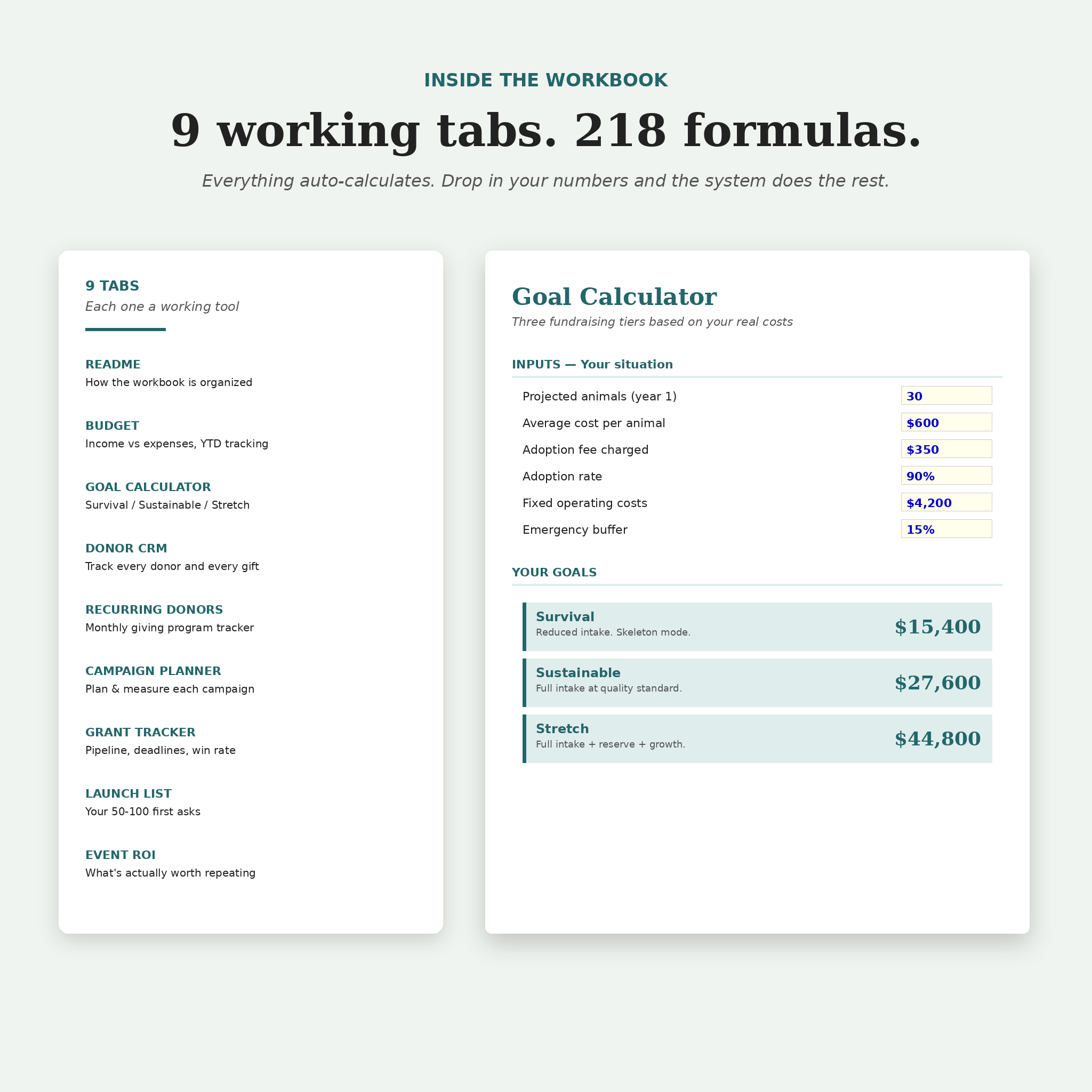 Fundraising Planning Workbook for Animal Rescues | Excel Budget, Donor CRM & Goal Calculator